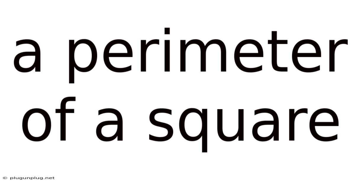 A Perimeter Of A Square