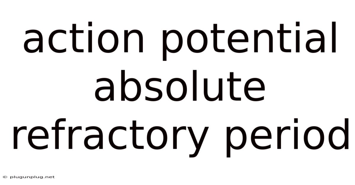 Action Potential Absolute Refractory Period