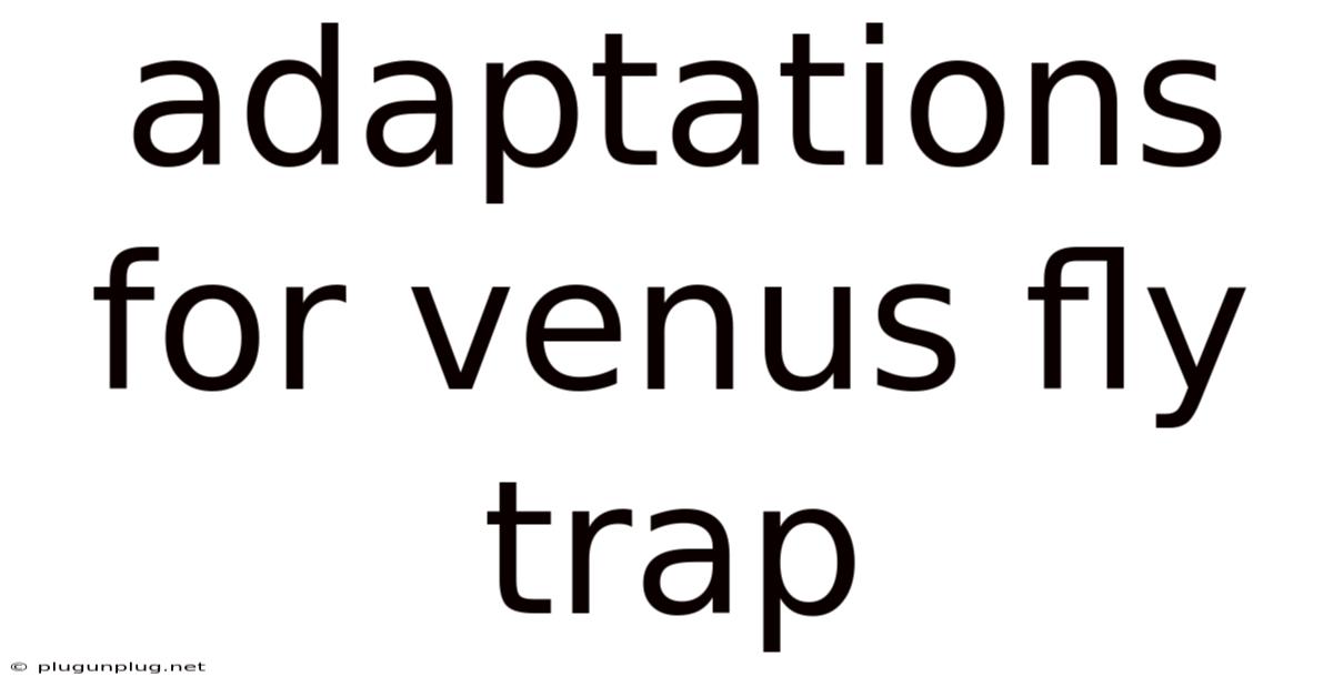 Adaptations For Venus Fly Trap