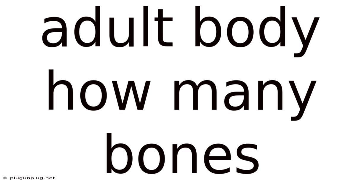 Adult Body How Many Bones