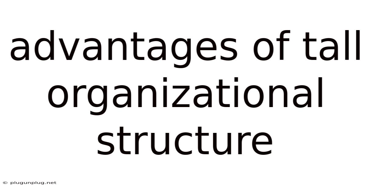 Advantages Of Tall Organizational Structure