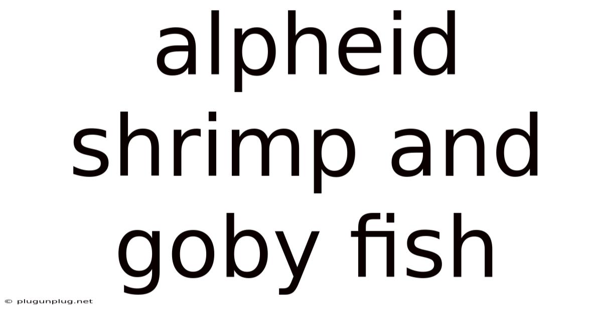 Alpheid Shrimp And Goby Fish