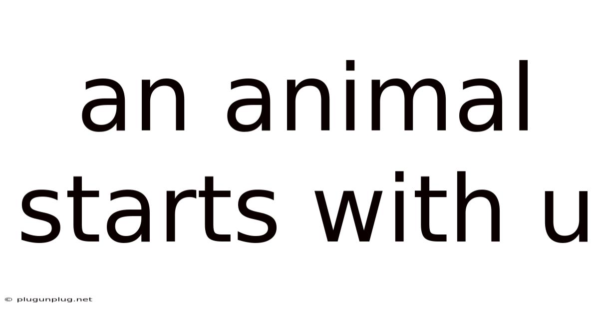 An Animal Starts With U