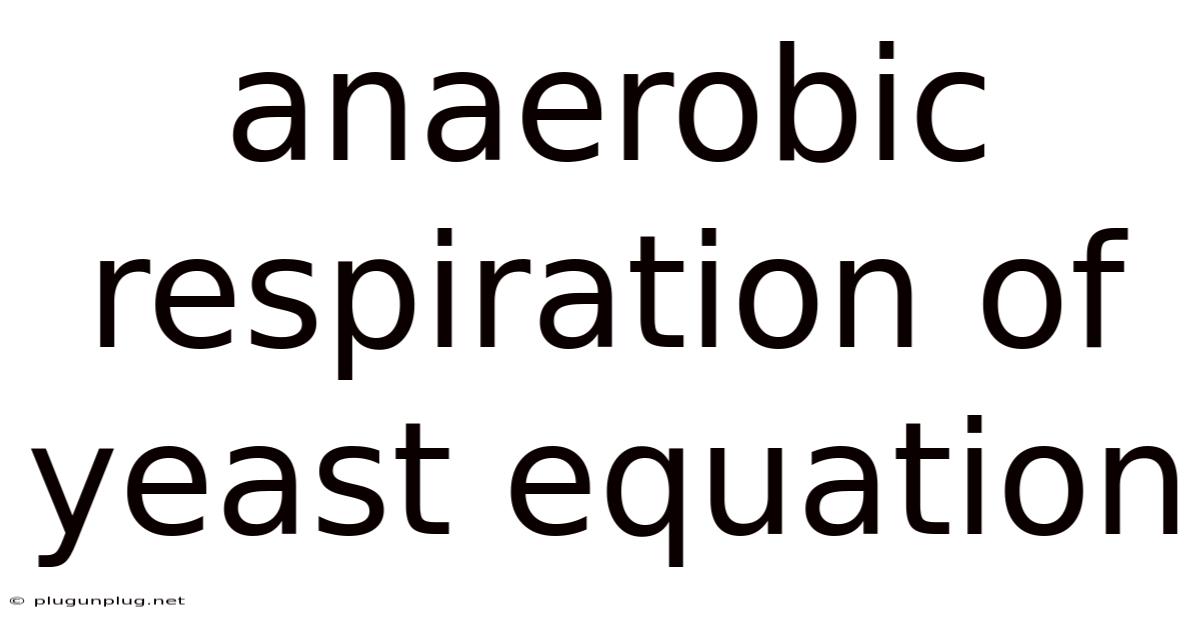 Anaerobic Respiration Of Yeast Equation