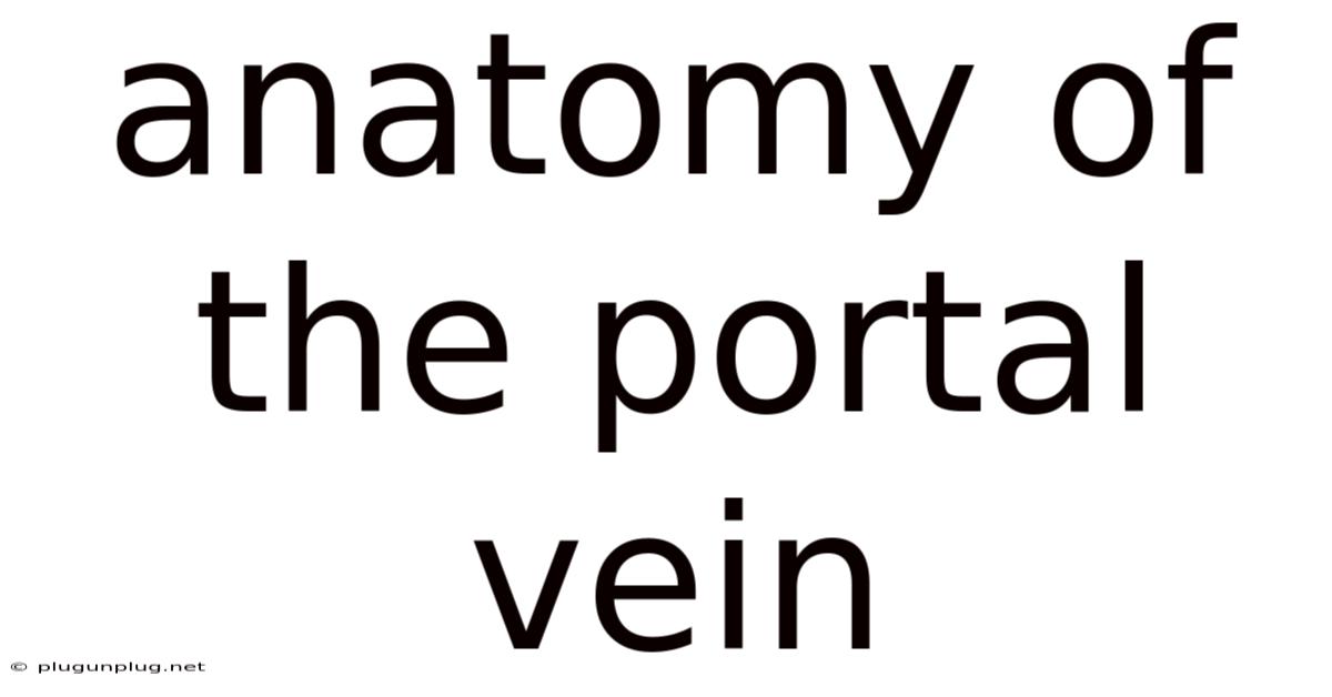 Anatomy Of The Portal Vein