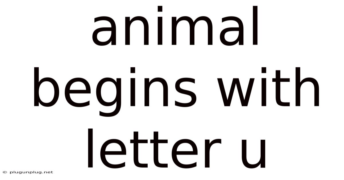 Animal Begins With Letter U
