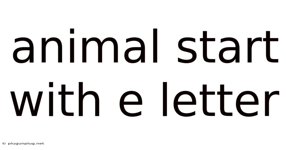 Animal Start With E Letter