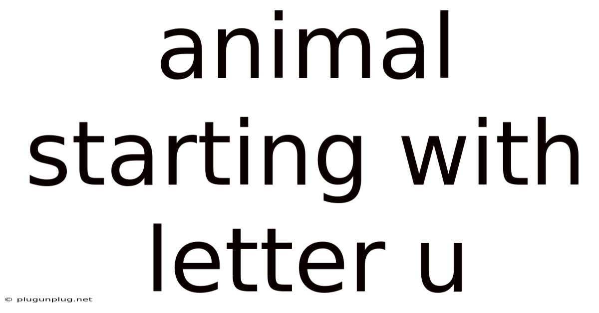 Animal Starting With Letter U