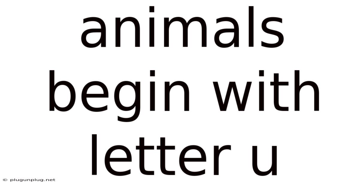 Animals Begin With Letter U