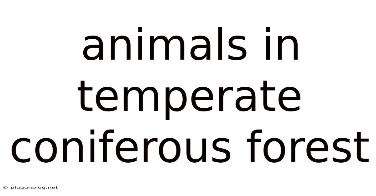 Animals In Temperate Coniferous Forest