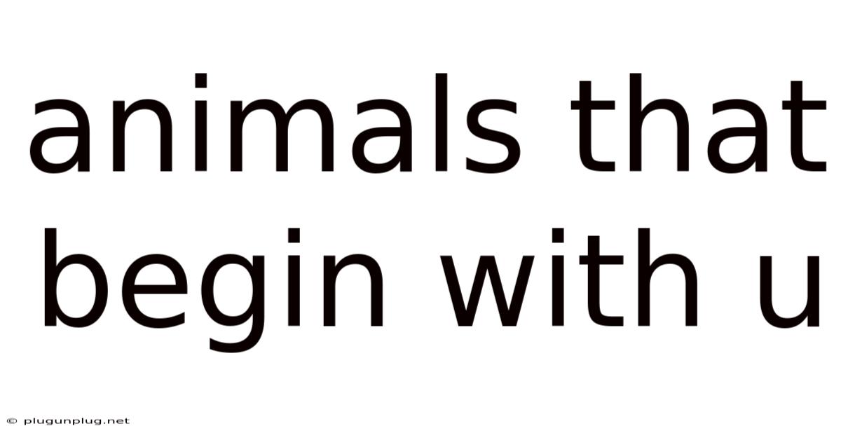 Animals That Begin With U