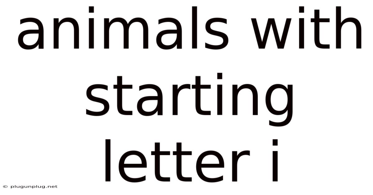 Animals With Starting Letter I