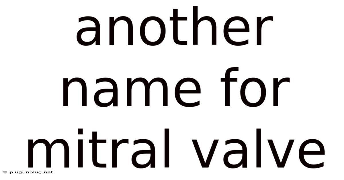 Another Name For Mitral Valve