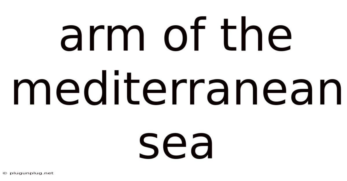 Arm Of The Mediterranean Sea
