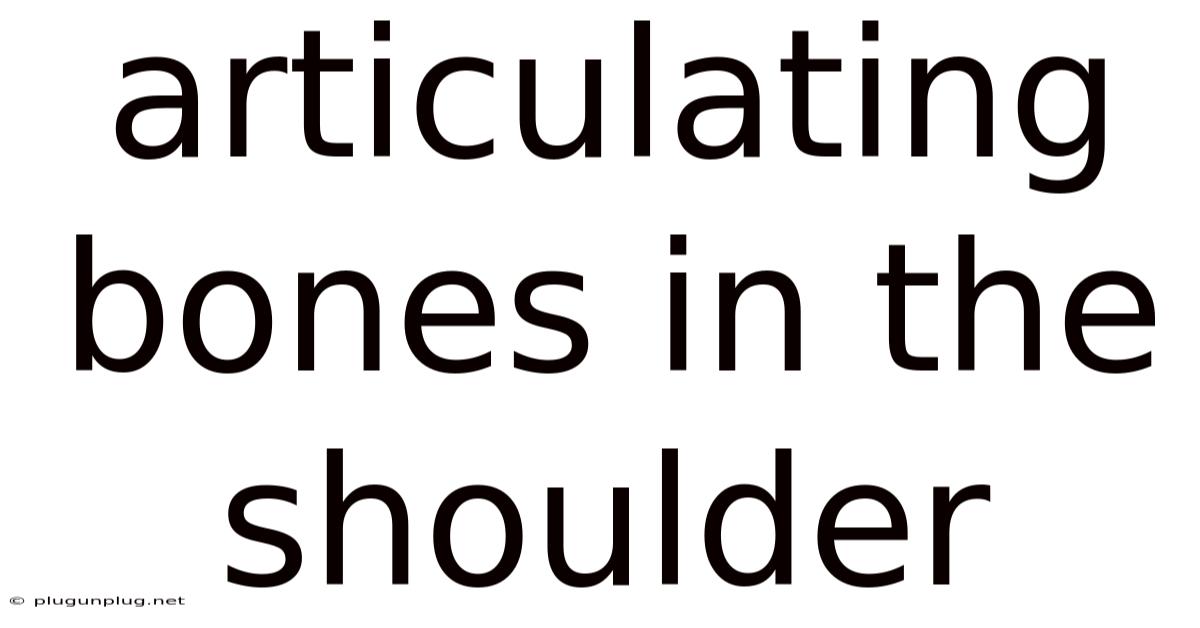 Articulating Bones In The Shoulder