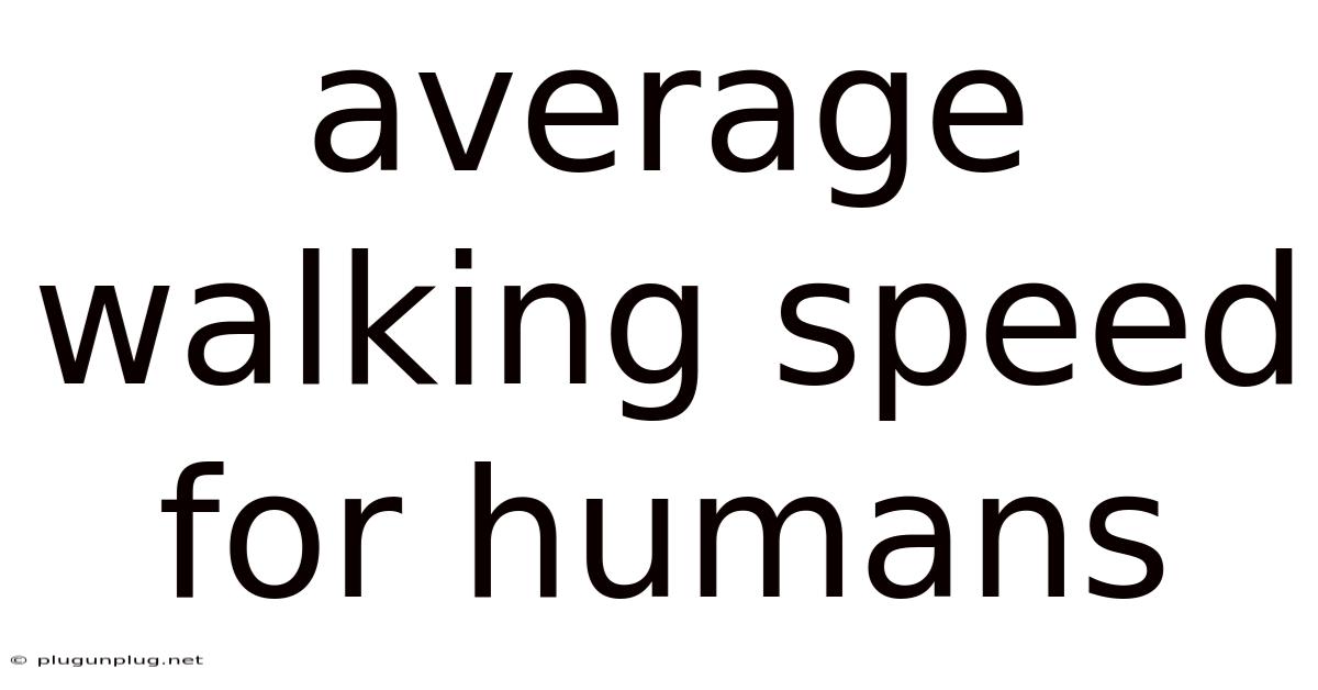 Average Walking Speed For Humans