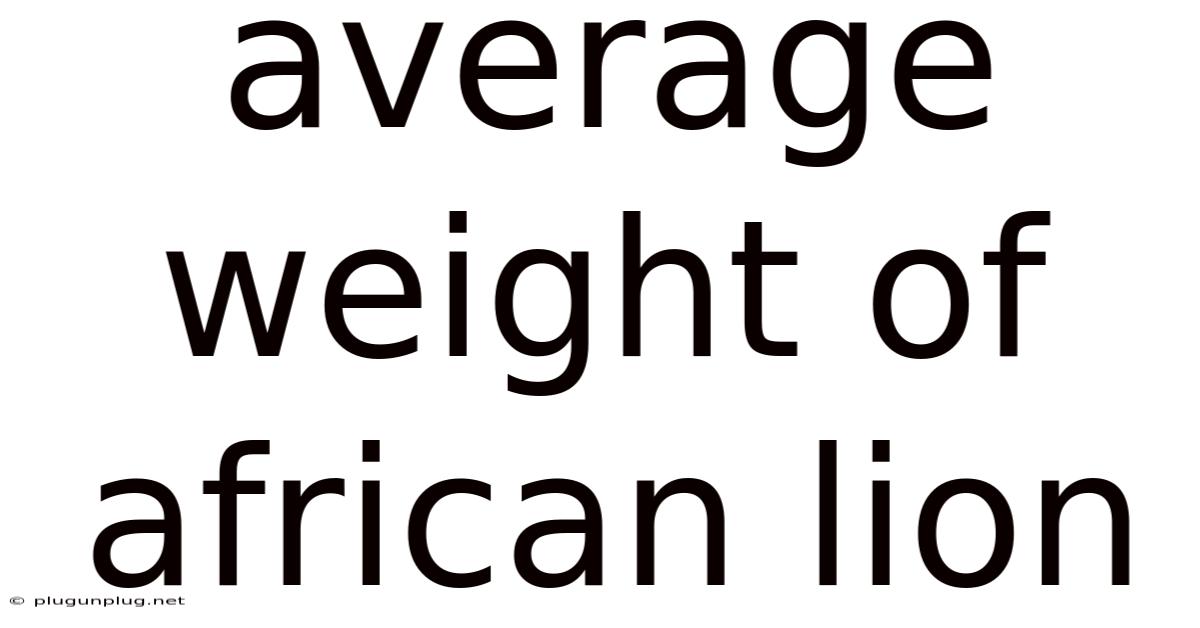 Average Weight Of African Lion