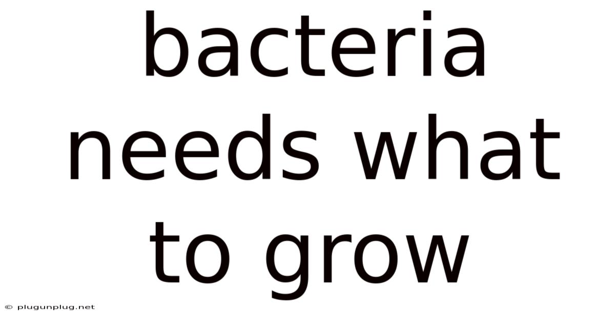 Bacteria Needs What To Grow