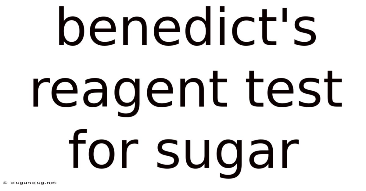 Benedict's Reagent Test For Sugar