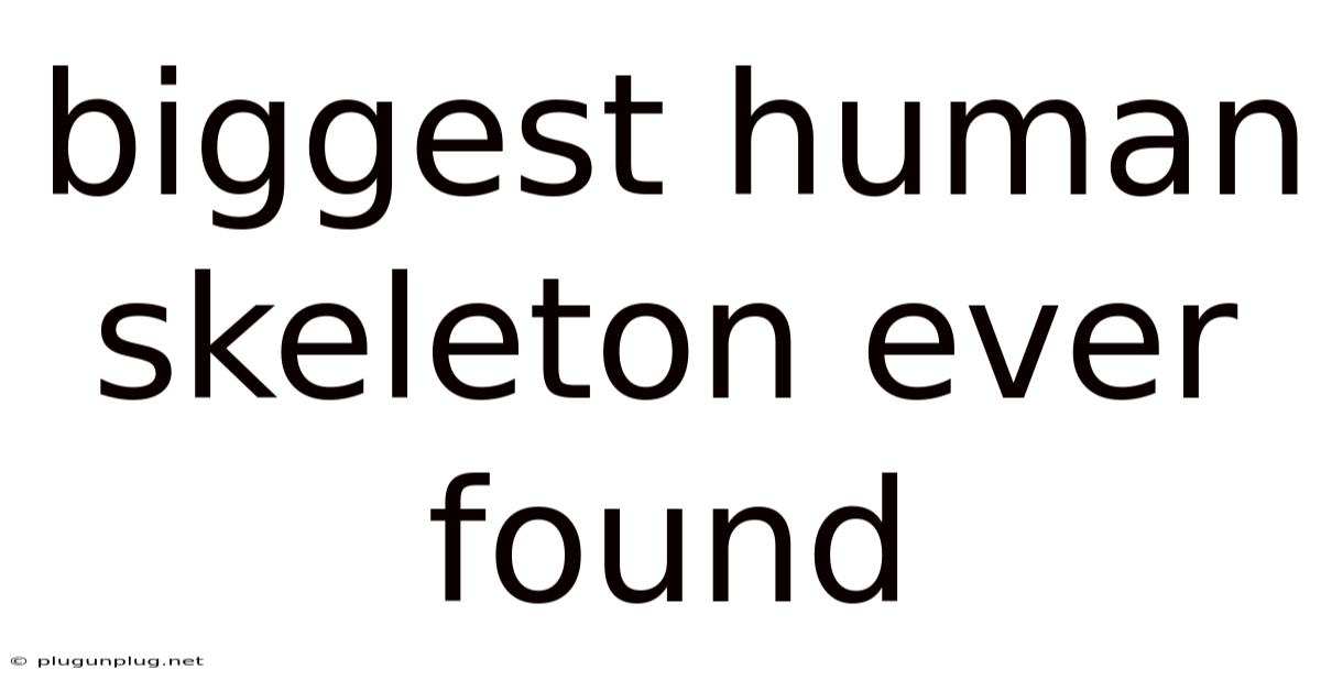 Biggest Human Skeleton Ever Found
