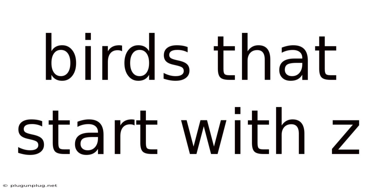 Birds That Start With Z