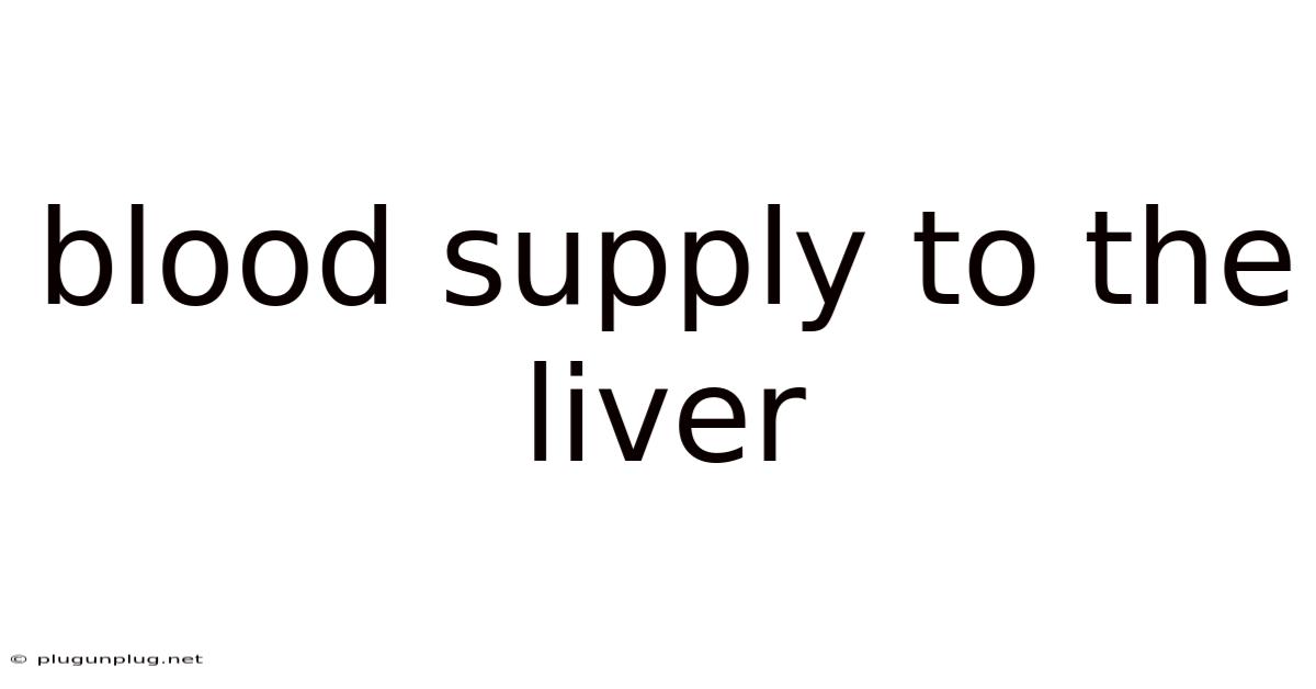 Blood Supply To The Liver