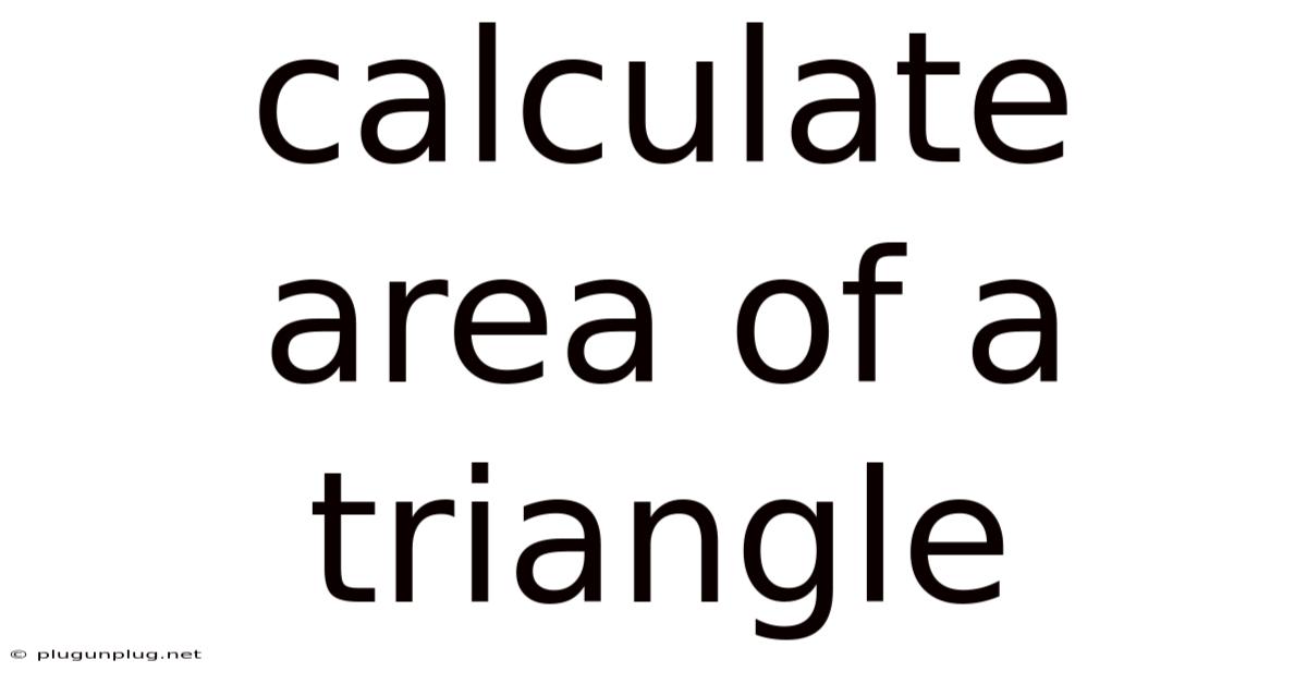 Calculate Area Of A Triangle