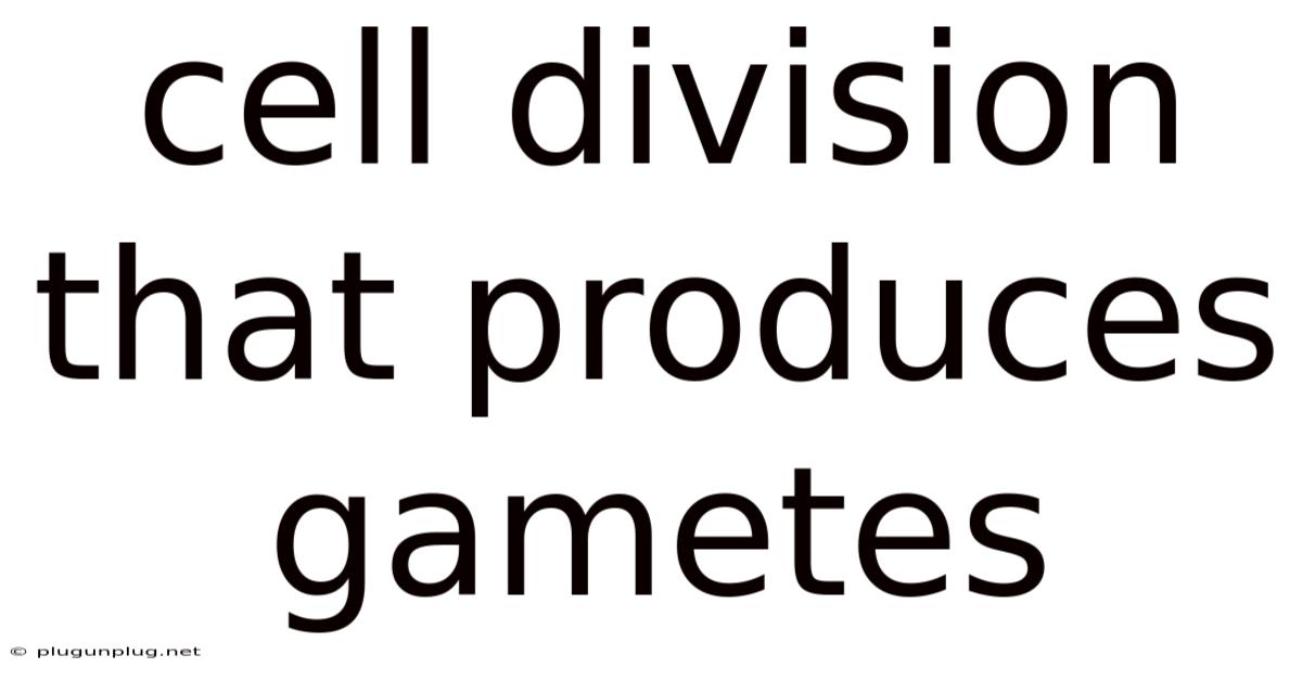 Cell Division That Produces Gametes