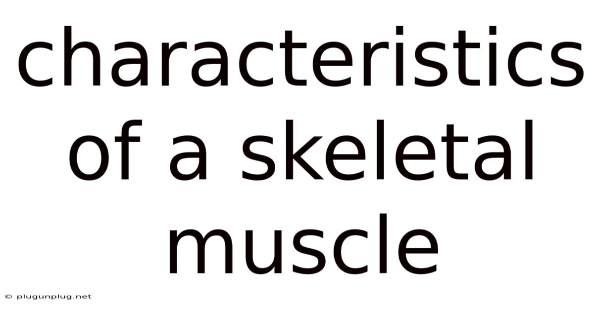 Characteristics Of A Skeletal Muscle