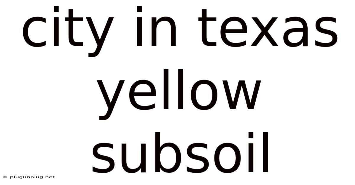 City In Texas Yellow Subsoil