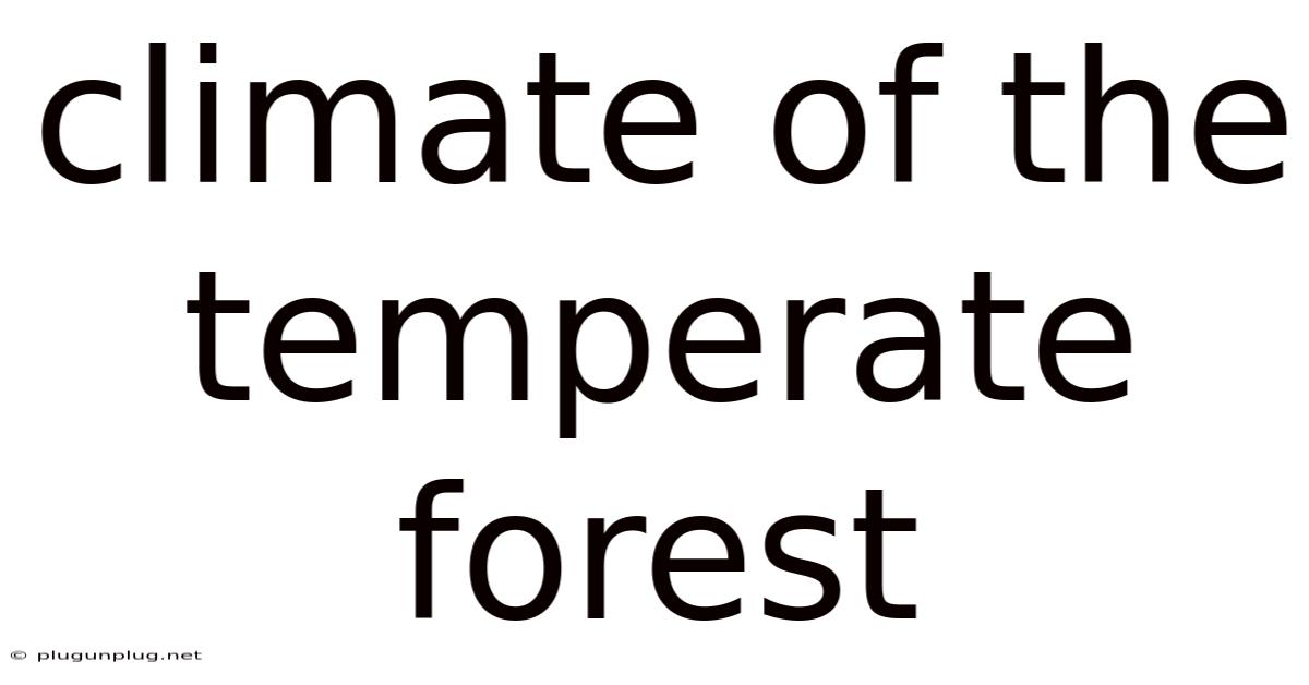 Climate Of The Temperate Forest