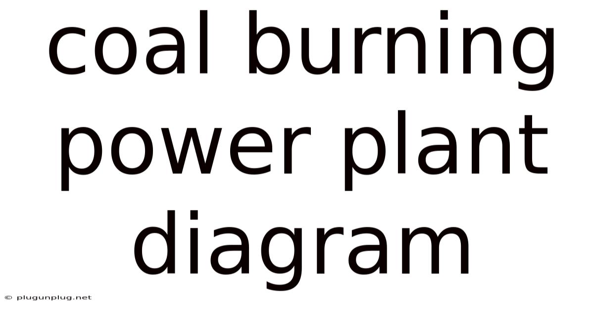 Coal Burning Power Plant Diagram
