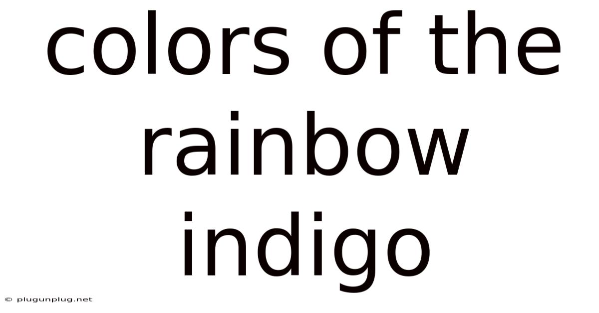 Colors Of The Rainbow Indigo