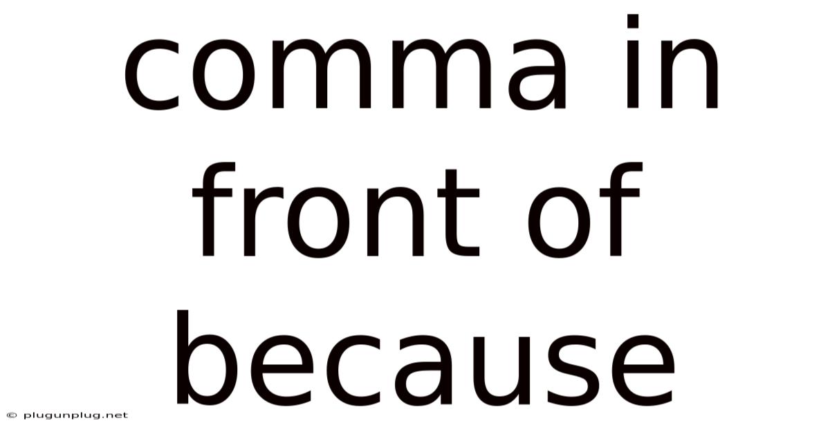 Comma In Front Of Because