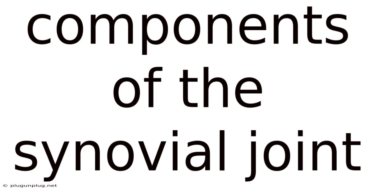 Components Of The Synovial Joint