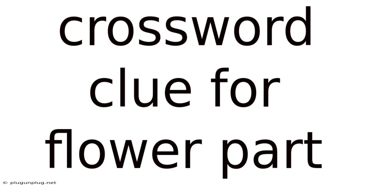 Crossword Clue For Flower Part