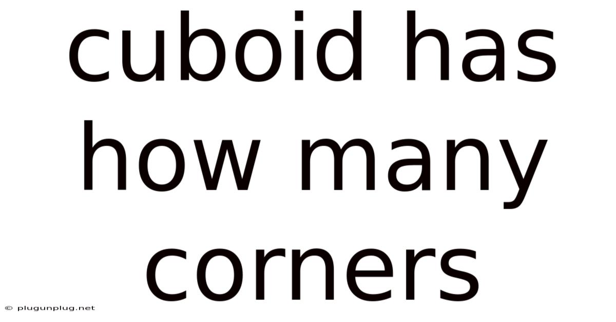 Cuboid Has How Many Corners