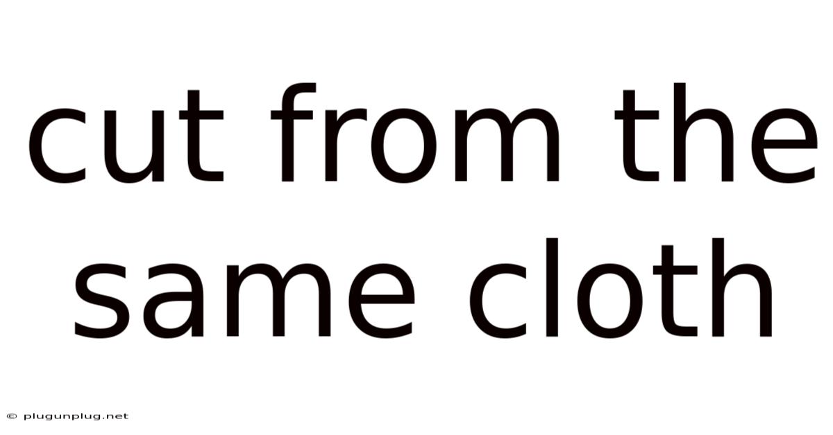 Cut From The Same Cloth