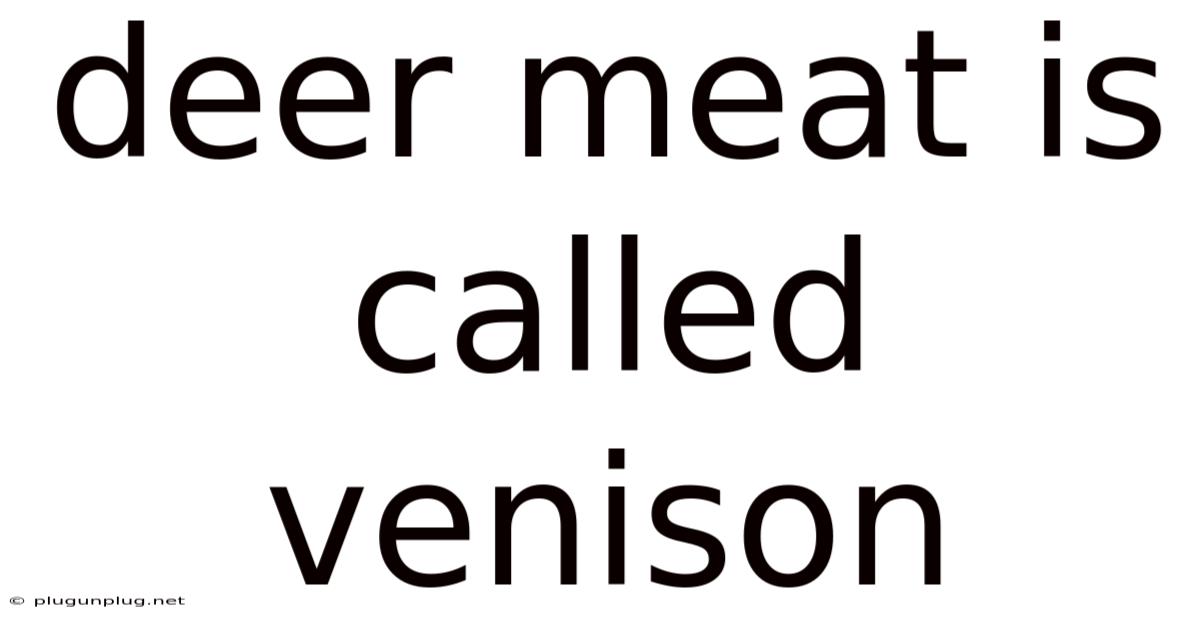 Deer Meat Is Called Venison