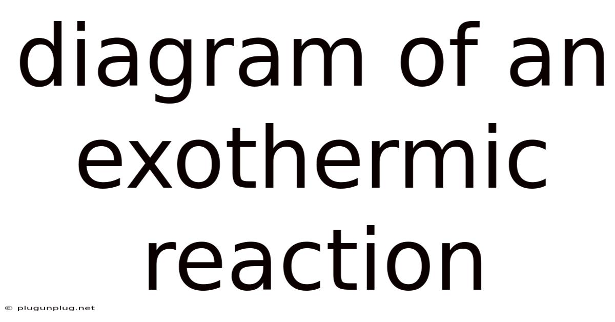 Diagram Of An Exothermic Reaction