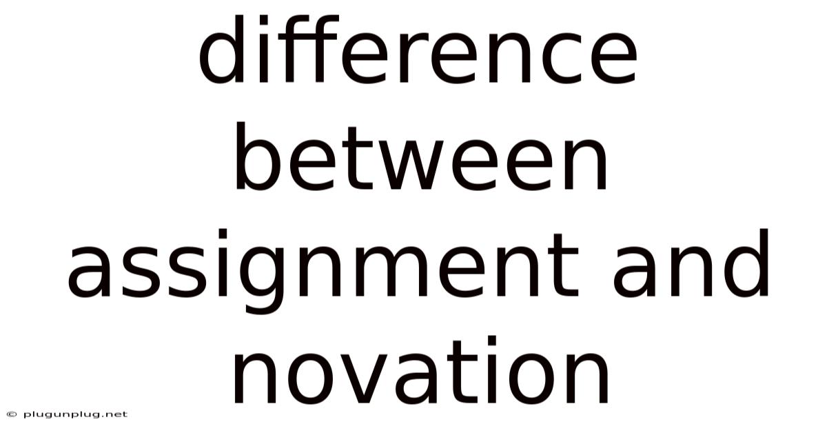 Difference Between Assignment And Novation