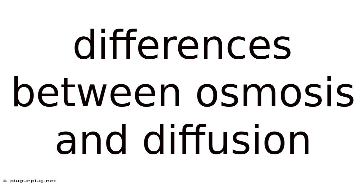 Differences Between Osmosis And Diffusion