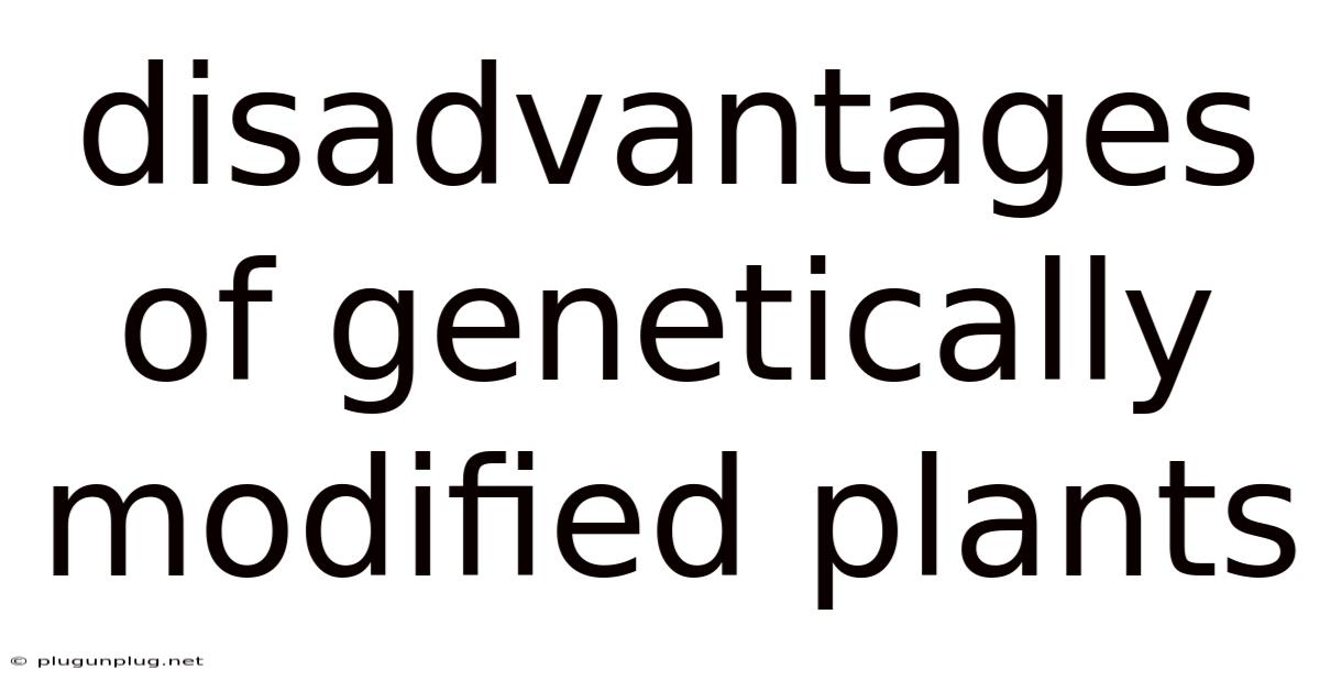 Disadvantages Of Genetically Modified Plants