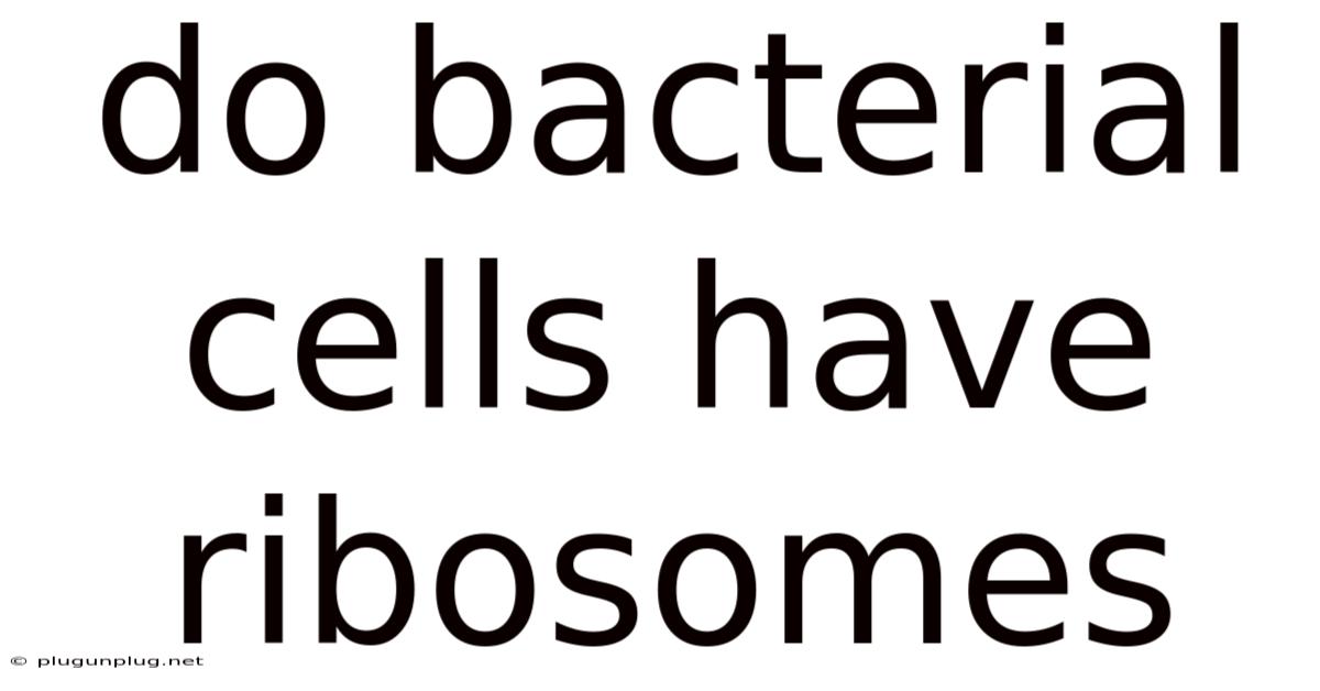 Do Bacterial Cells Have Ribosomes