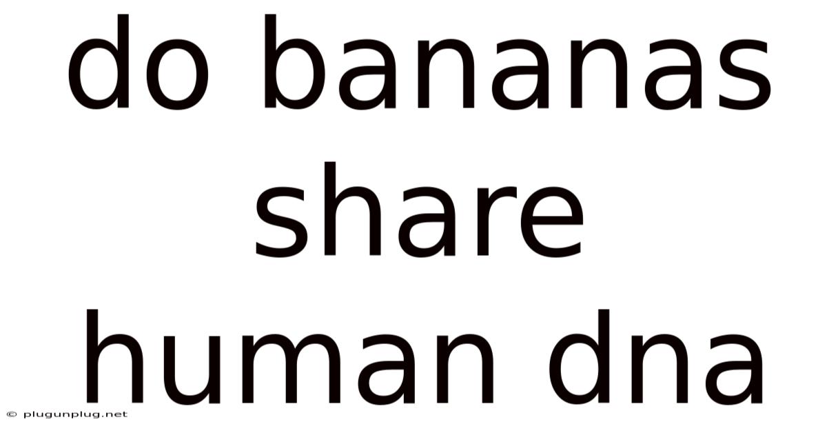 Do Bananas Share Human Dna