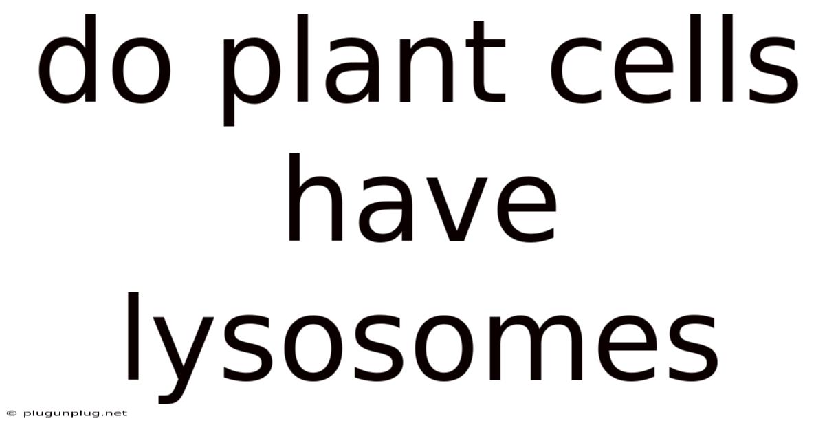 Do Plant Cells Have Lysosomes