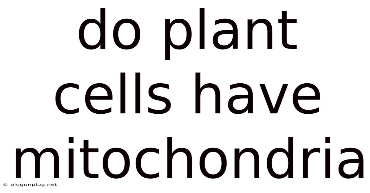 Do Plant Cells Have Mitochondria
