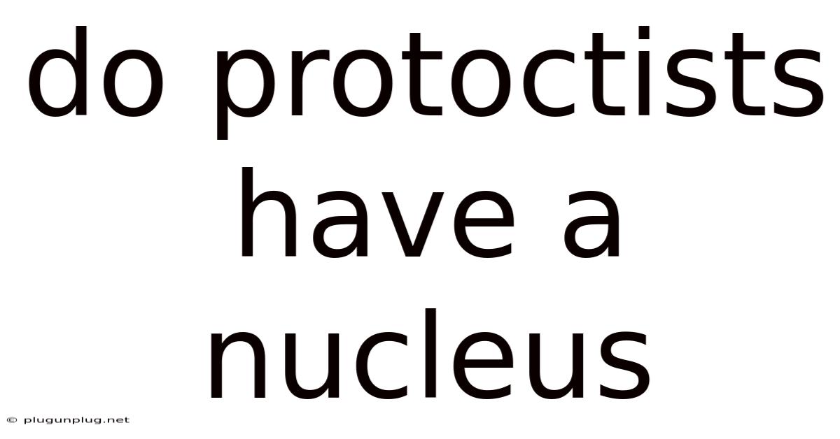 Do Protoctists Have A Nucleus