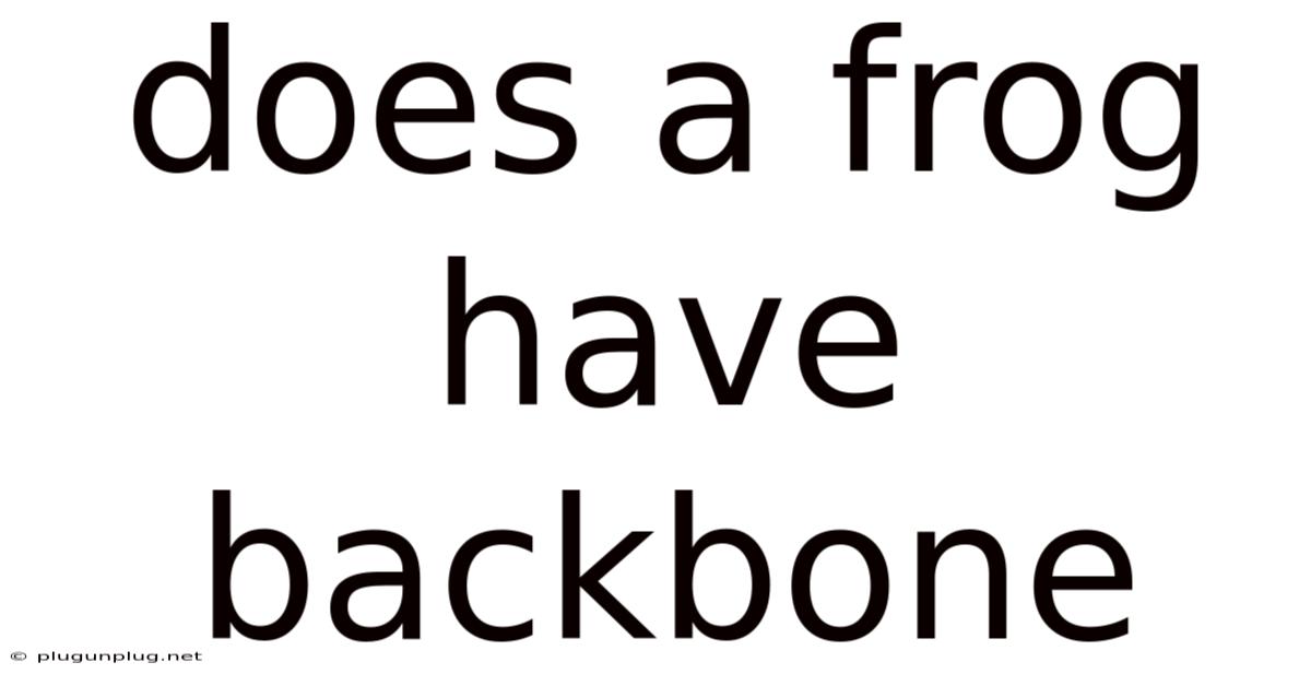 Does A Frog Have Backbone