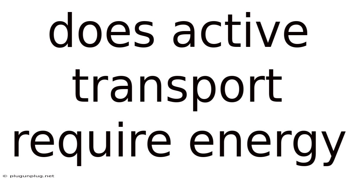 Does Active Transport Require Energy